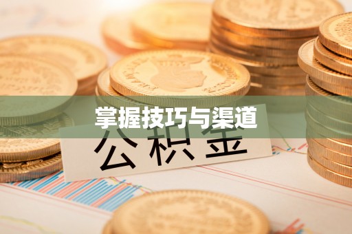 当阳掌握技巧与渠道