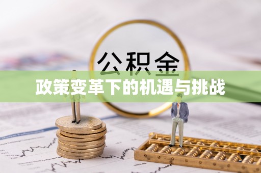 当阳政策变革下的机遇与挑战