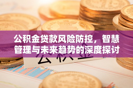 当阳公积金贷款风险防控，智慧管理与未来趋势的深度探讨