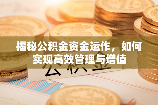 当阳揭秘公积金资金运作，如何实现高效管理与增值