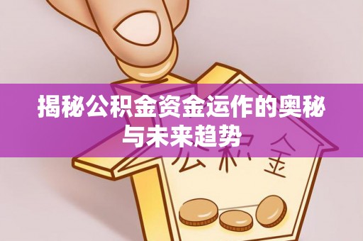 当阳揭秘公积金资金运作的奥秘与未来趋势