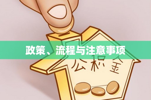 当阳政策、流程与注意事项