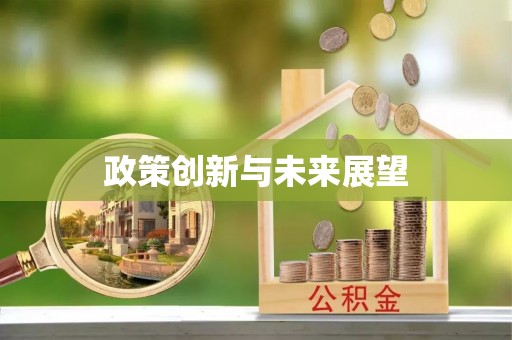 当阳政策创新与未来展望