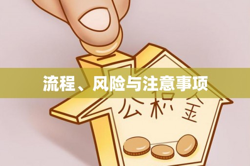 当阳流程、风险与注意事项