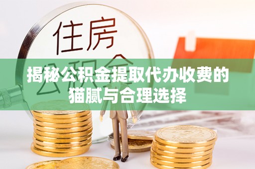 当阳揭秘公积金提取代办收费的猫腻与合理选择
