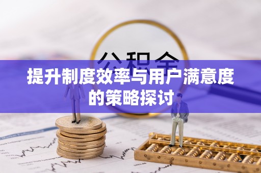 当阳提升制度效率与用户满意度的策略探讨