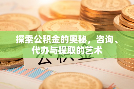 当阳探索公积金的奥秘，咨询、代办与提取的艺术