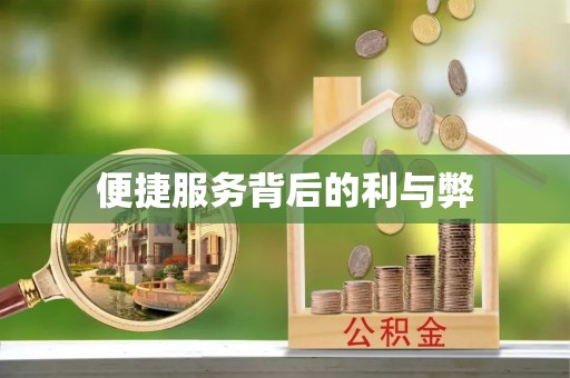 当阳便捷服务背后的利与弊