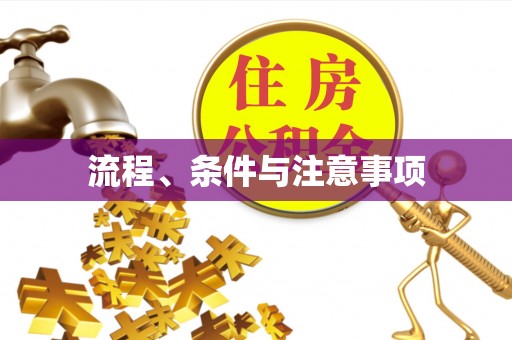 当阳流程、条件与注意事项