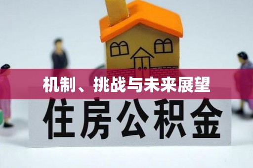 当阳机制、挑战与未来展望